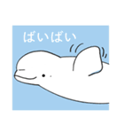ベルーガと仲間たち（個別スタンプ：7）