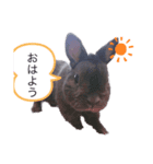 うたみスタンプ（個別スタンプ：4）