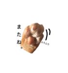 ネコ(茶トラ)ちゃんの日常で使えるスタンプ（個別スタンプ：15）
