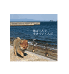 僕だよ！(1)（個別スタンプ：7）