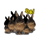 飼っているウサギ（個別スタンプ：8）