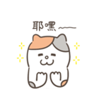 Heyyou猫のデビュー！！（個別スタンプ：1）