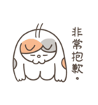 Heyyou猫のデビュー！！（個別スタンプ：12）