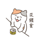 Heyyou猫のデビュー！！（個別スタンプ：31）