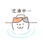 Heyyou猫のデビュー！！（個別スタンプ：39）