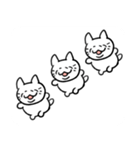シワねこちゃん（個別スタンプ：33）