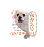 こまきゅんラブ（個別スタンプ：2）