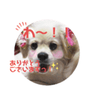 こまきゅんラブ（個別スタンプ：4）