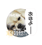 こまきゅんラブ（個別スタンプ：5）