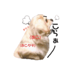 こまきゅんラブ（個別スタンプ：9）