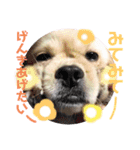 こまきゅんラブ（個別スタンプ：11）