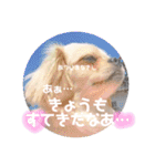 こまきゅんラブ（個別スタンプ：13）