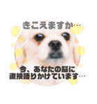 こまきゅんラブ（個別スタンプ：14）