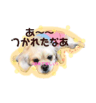 こまきゅんラブ（個別スタンプ：15）