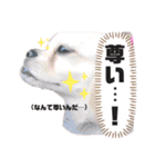 こまきゅんラブ（個別スタンプ：18）