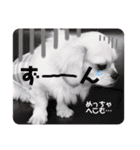 こまきゅんラブ（個別スタンプ：21）