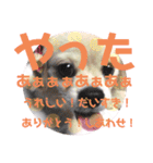 こまきゅんラブ（個別スタンプ：22）