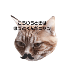 不機嫌猫の日常（個別スタンプ：7）