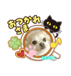 ゆるふわももちゃん♡（個別スタンプ：4）