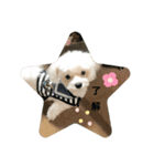 むったん成犬版（個別スタンプ：7）
