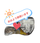めめしおん（個別スタンプ：9）