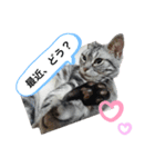 めめしおん（個別スタンプ：12）