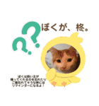 毎日愉快なみあごんちゃん（個別スタンプ：11）