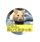 はむはむたんたん（個別スタンプ：3）