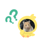 はむはむたんたん（個別スタンプ：8）