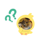 にゃんとも(*ˊૢᵕˋૢ*)（個別スタンプ：5）