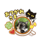 なぎたんスタンプだぉ（個別スタンプ：12）