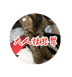 究極厭世猫 2.0（個別スタンプ：9）
