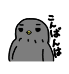ふくろうスタンプOWLSTAMP（個別スタンプ：5）