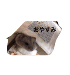 よくね？（個別スタンプ：14）