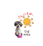 ブラン姫の日常（個別スタンプ：2）