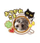 ブラン姫の日常（個別スタンプ：9）
