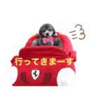 ブラン姫の日常（個別スタンプ：13）