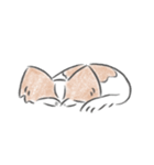 キノコ、飯が欲しい。（個別スタンプ：8）