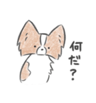 キノコ、飯が欲しい。（個別スタンプ：9）