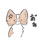 キノコ、飯が欲しい。（個別スタンプ：10）