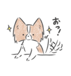 キノコ、飯が欲しい。（個別スタンプ：13）