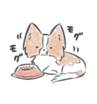キノコ、飯が欲しい。（個別スタンプ：15）