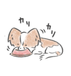キノコ、飯が欲しい。（個別スタンプ：16）