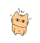 あごの白いねこ（個別スタンプ：1）