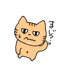 あごの白いねこ（個別スタンプ：2）
