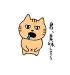 あごの白いねこ（個別スタンプ：13）
