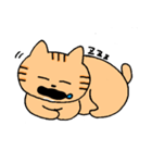 あごの白いねこ（個別スタンプ：36）