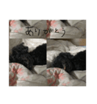 アルちゃん(（個別スタンプ：16）