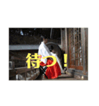 伊藤愛子の元気系スタンプ（個別スタンプ：12）