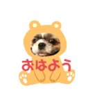 まるこちゃんのごあいさつ（個別スタンプ：2）
